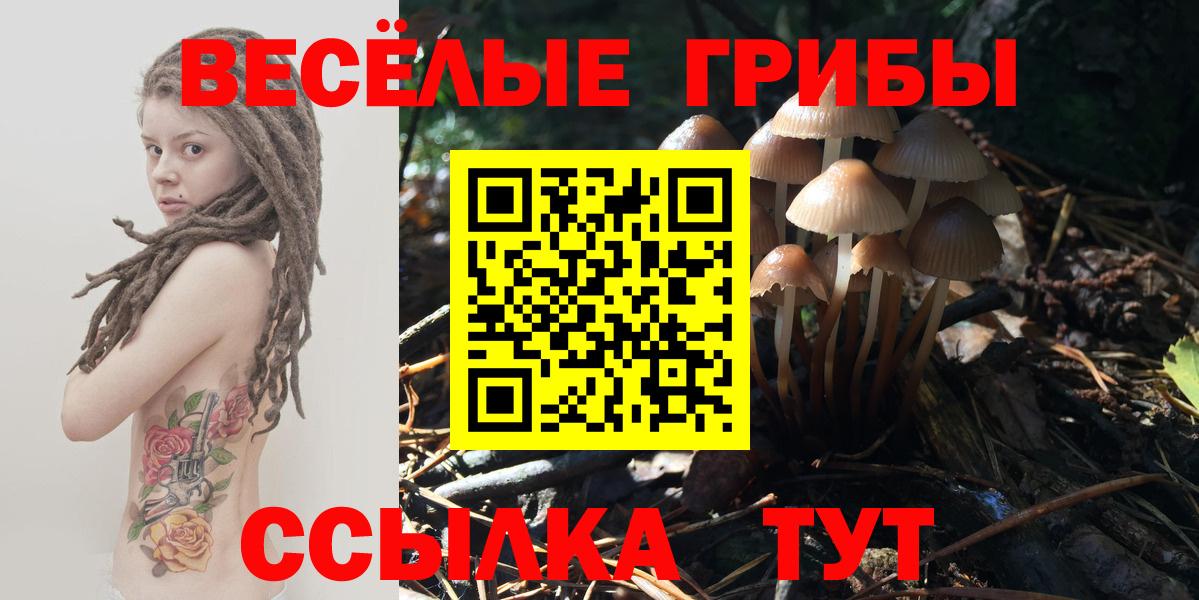 Галлюциногенные грибы мухоморы  Псилоцибиновые грибы Cubensis  Вход с VPN  цены наркотик  Узловая 