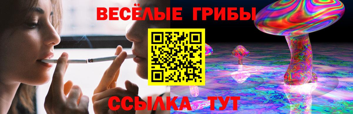 Галлюциногенные грибы Psilocybe Узловая